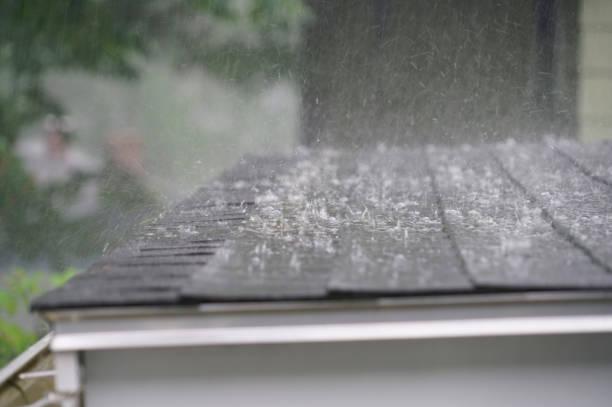 Best Roof Insulation Installation  in Fort Wright, KY