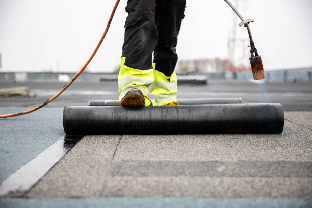 Best Asphalt Shingle Roofing  in Fort Wright, KY